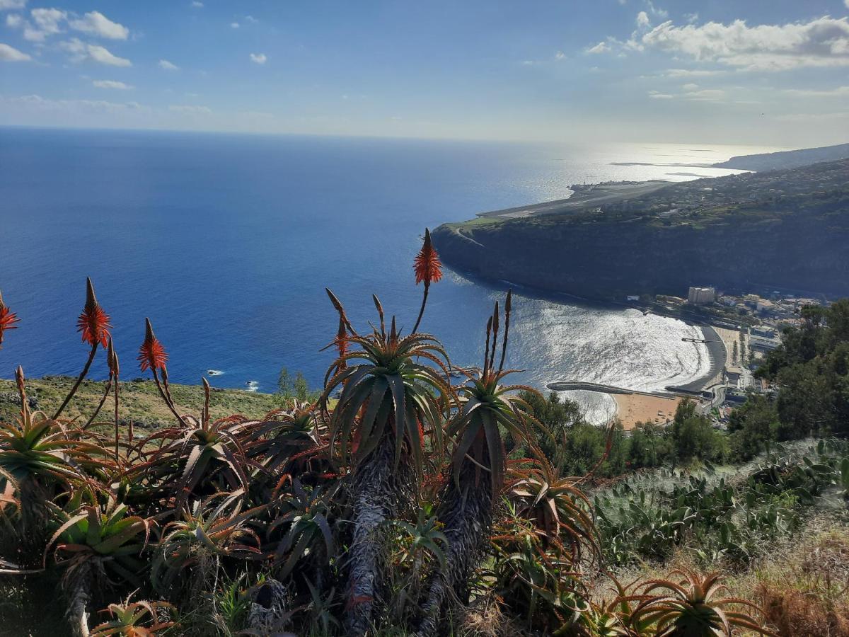 Sunny Beach Machico Apartment By Hr Madeira Exteriér fotografie